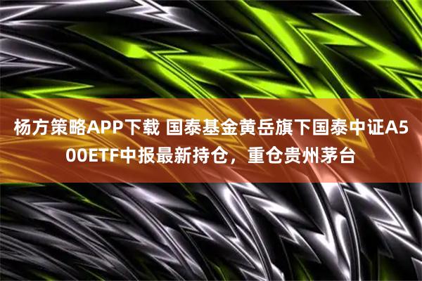 杨方策略APP下载 国泰基金黄岳旗下国泰中证A500ETF中报最新持仓，重仓贵州茅台