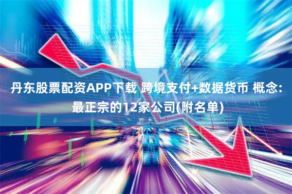 丹东股票配资APP下载 跨境支付+数据货币 概念: 最正宗的12家公司(附名单)