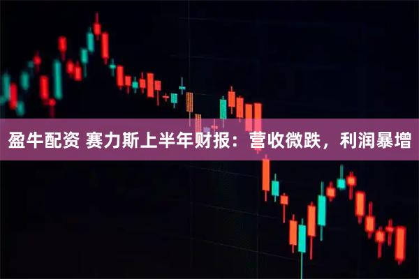 盈牛配资 赛力斯上半年财报：营收微跌，利润暴增
